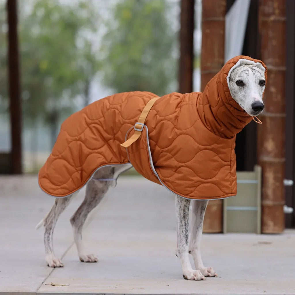 Casaco Impermeável de Inverno para Whippet – Ajuste Anatômico & Forro Térmico