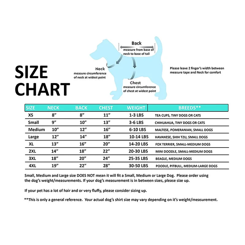 MiniMe™ – T-Shirts Personalizadas Família & Pet