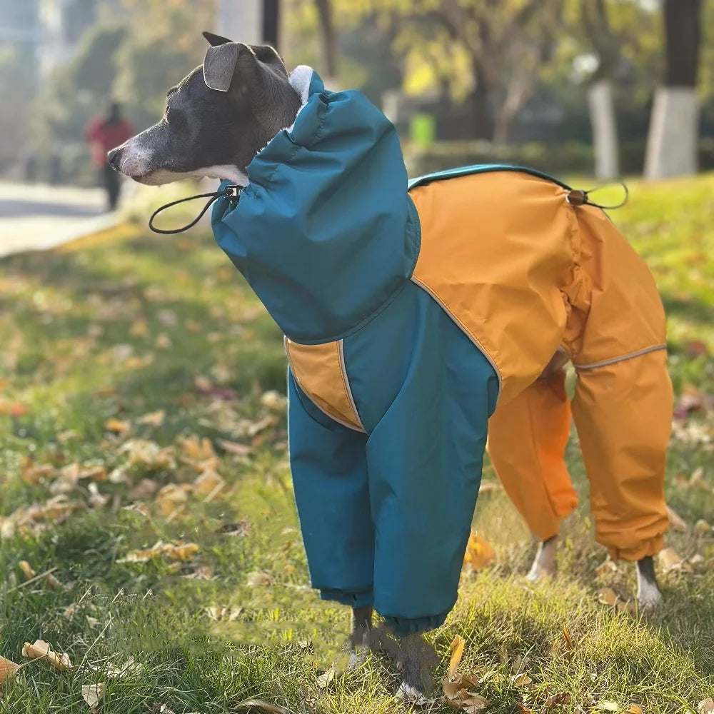 Capa de Chuva Térmica Impermeável para Whippet – Azul & Amarelo