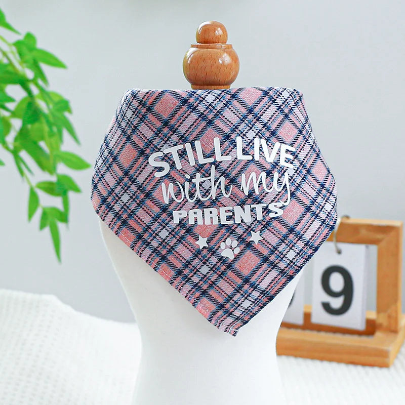 Bandana Premium Dupla Face para Cães | Estilo Festival & Família