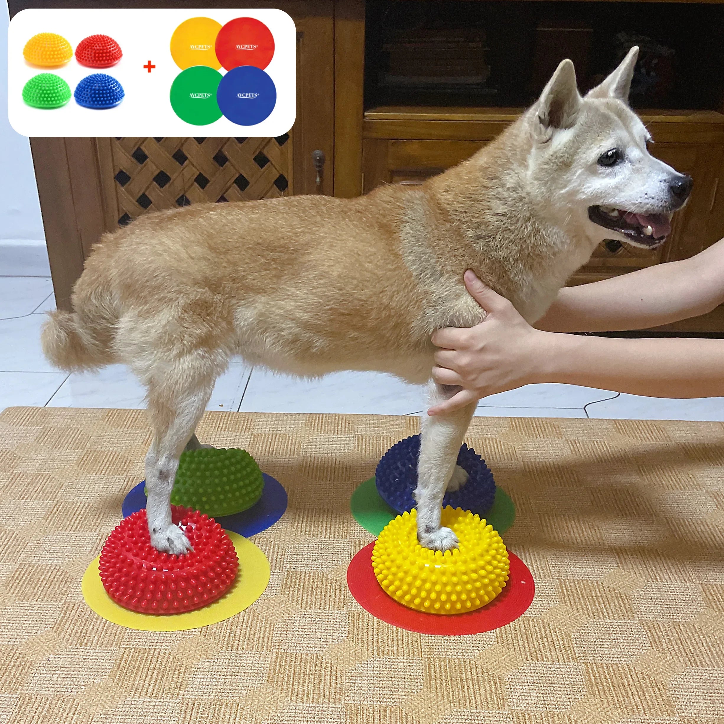 Almofada de Reabilitação e Equilíbrio Canino – Treino Neuromotor e Força Muscular