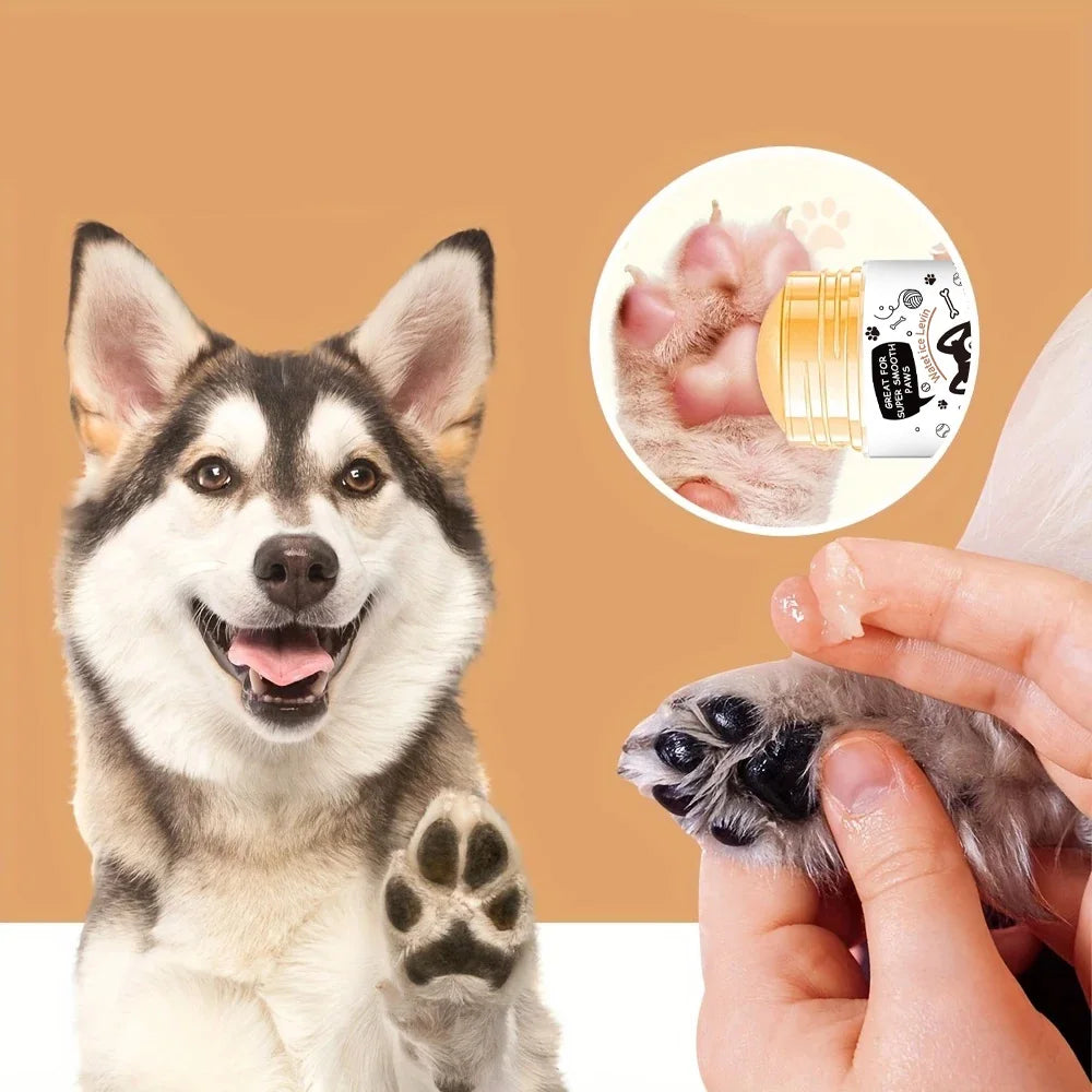 Dog Paw Balm – Alívio Imediato para Patas e Focinho Secos